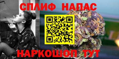 гидра Павлово