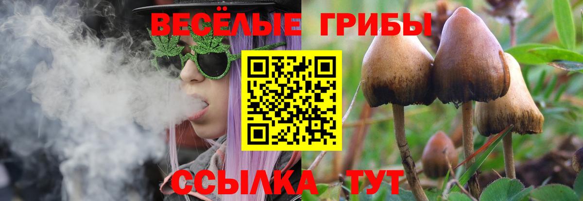 Псилоцибиновые грибы мицелий Кимры